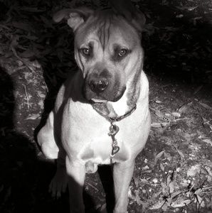 Meet your Posher, Charles